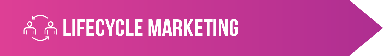 13 - Lifecycle Web Banner Startup lifecycle marketing page banner for desktops
